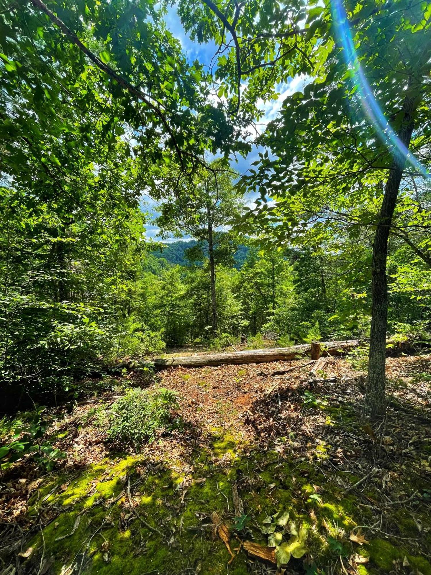 Tiny House, Wifi,Hot Tub,Secluded Villa Cosby Exteriör bild