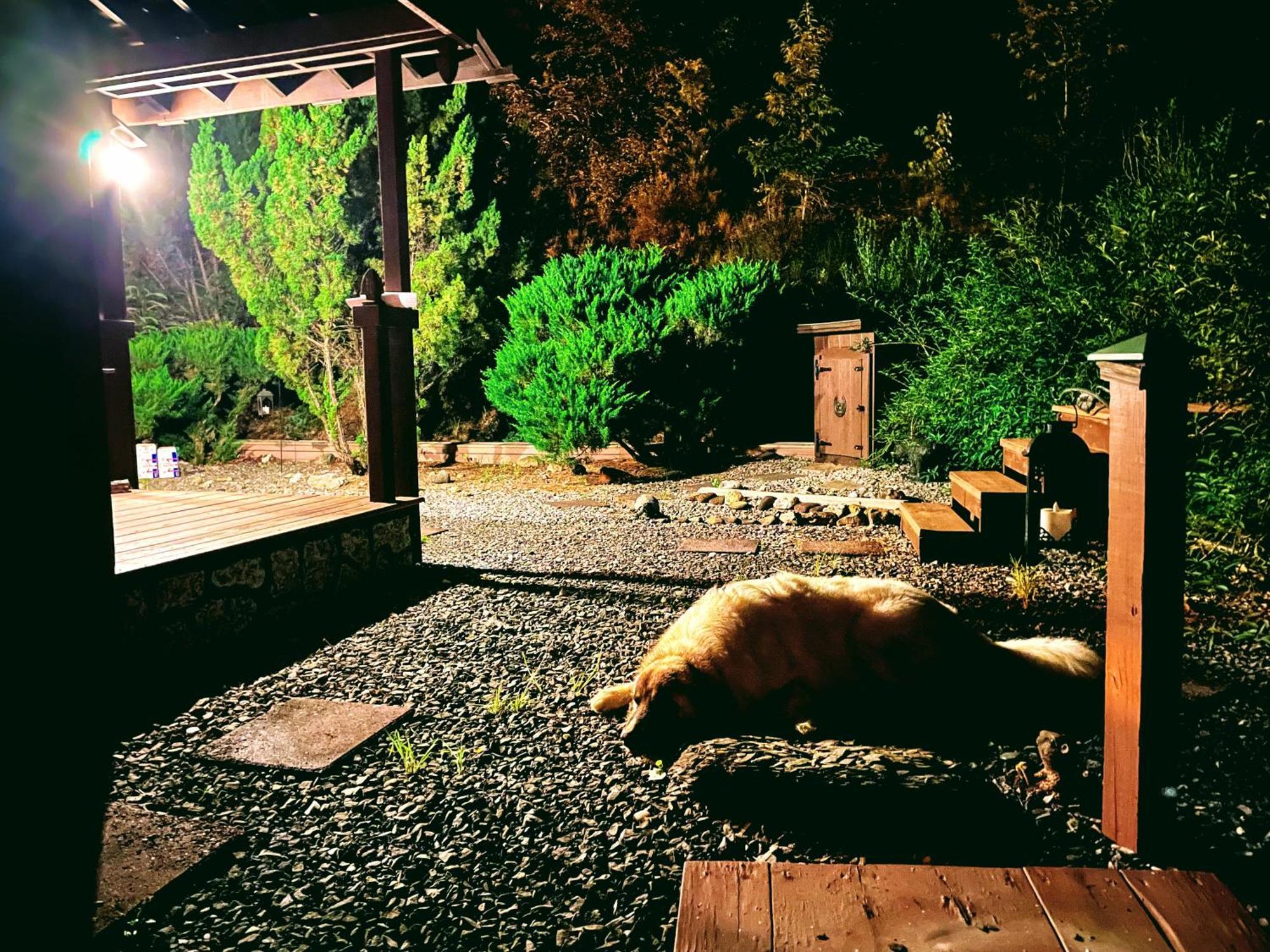 Tiny House, Wifi,Hot Tub,Secluded Villa Cosby Exteriör bild