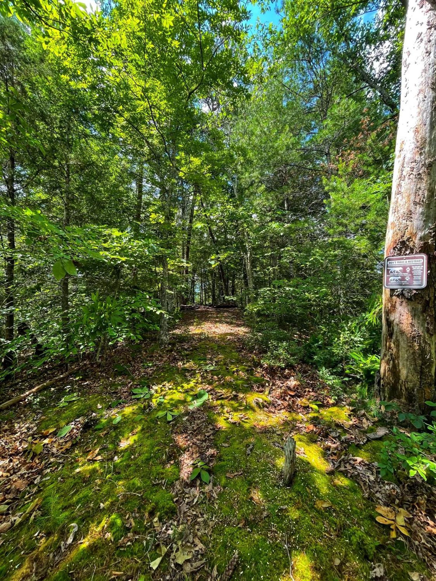 Tiny House, Wifi,Hot Tub,Secluded Villa Cosby Exteriör bild